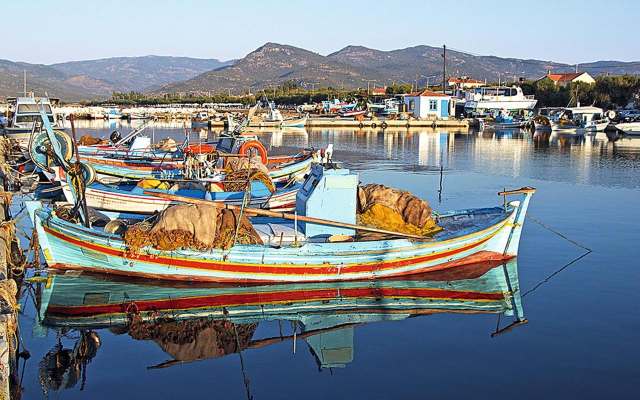 Gaea Gardens & Apartment Petra (Lesbos)